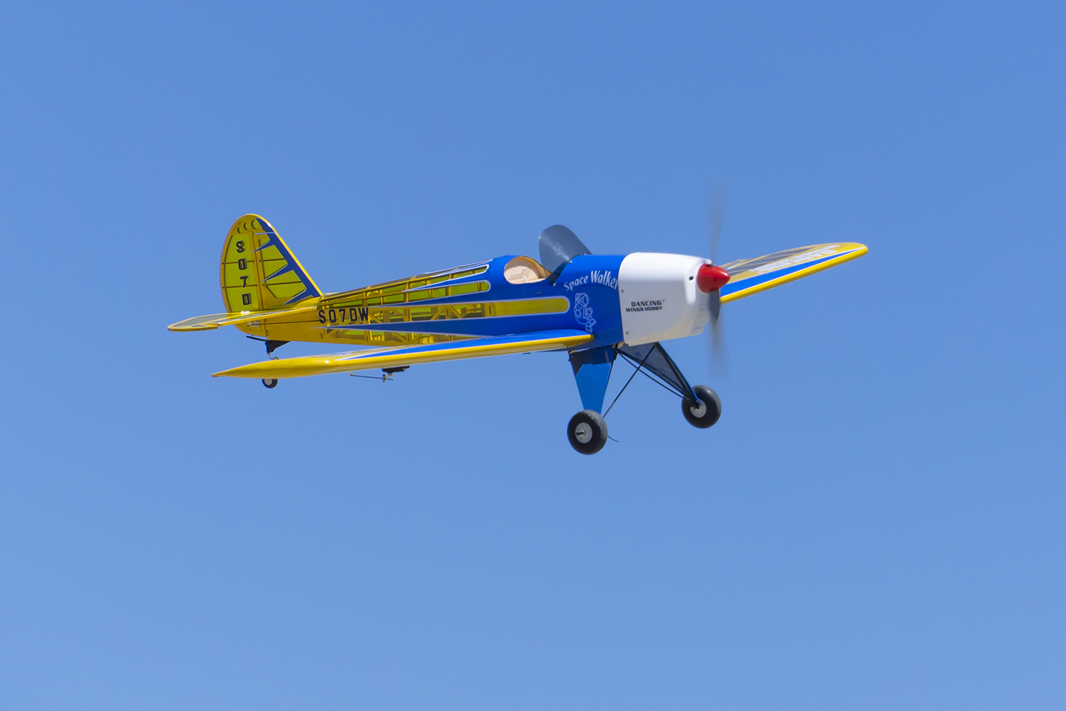 Dancing Wings Hobby 1.6M (63in – Outdoor Power Kit recenzja i cena